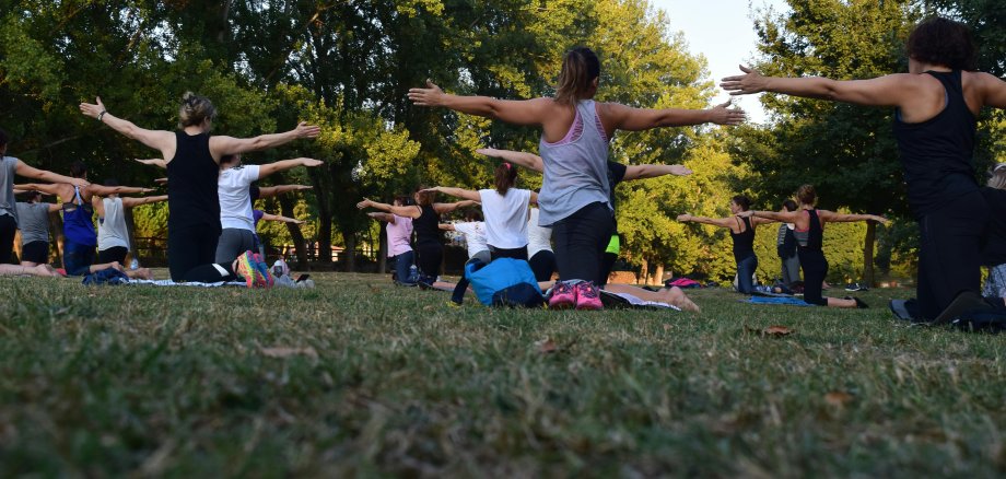 Ein Bild von Personen die Yoga auf einer Wiese üben